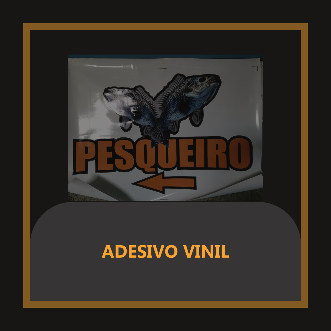 Projeto 3
